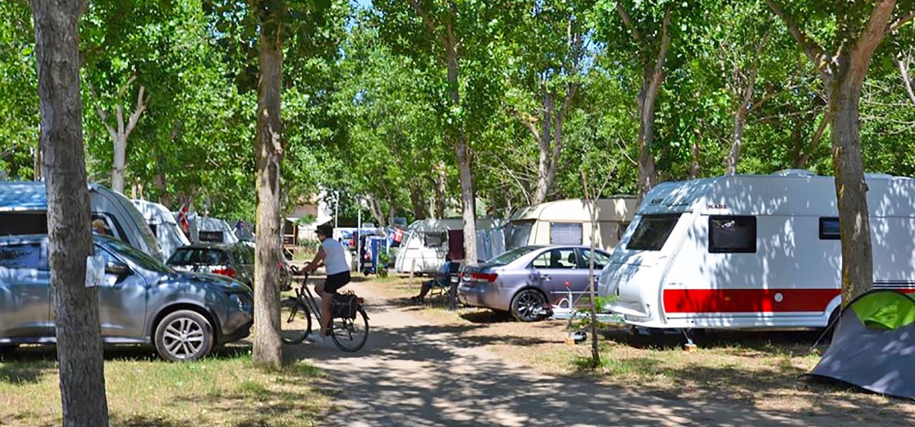 hebergement emplacement nature camping robinson