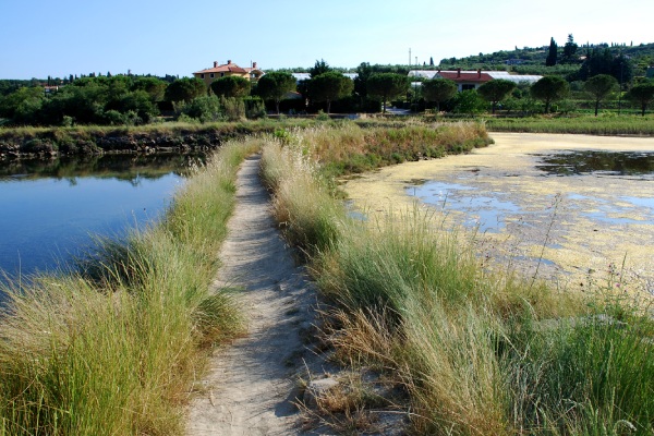 reserve du bagnas