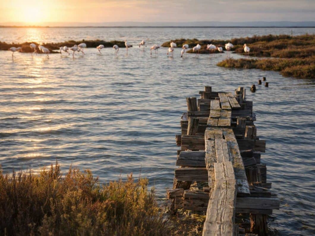 plages proches camping frontignan