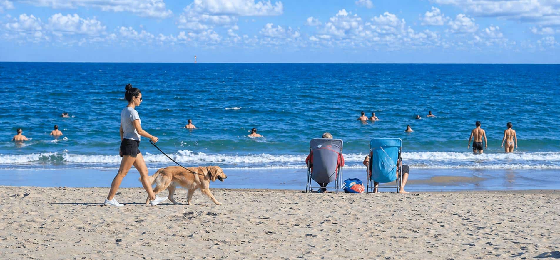 les plages chiens acceptes cap d'agde