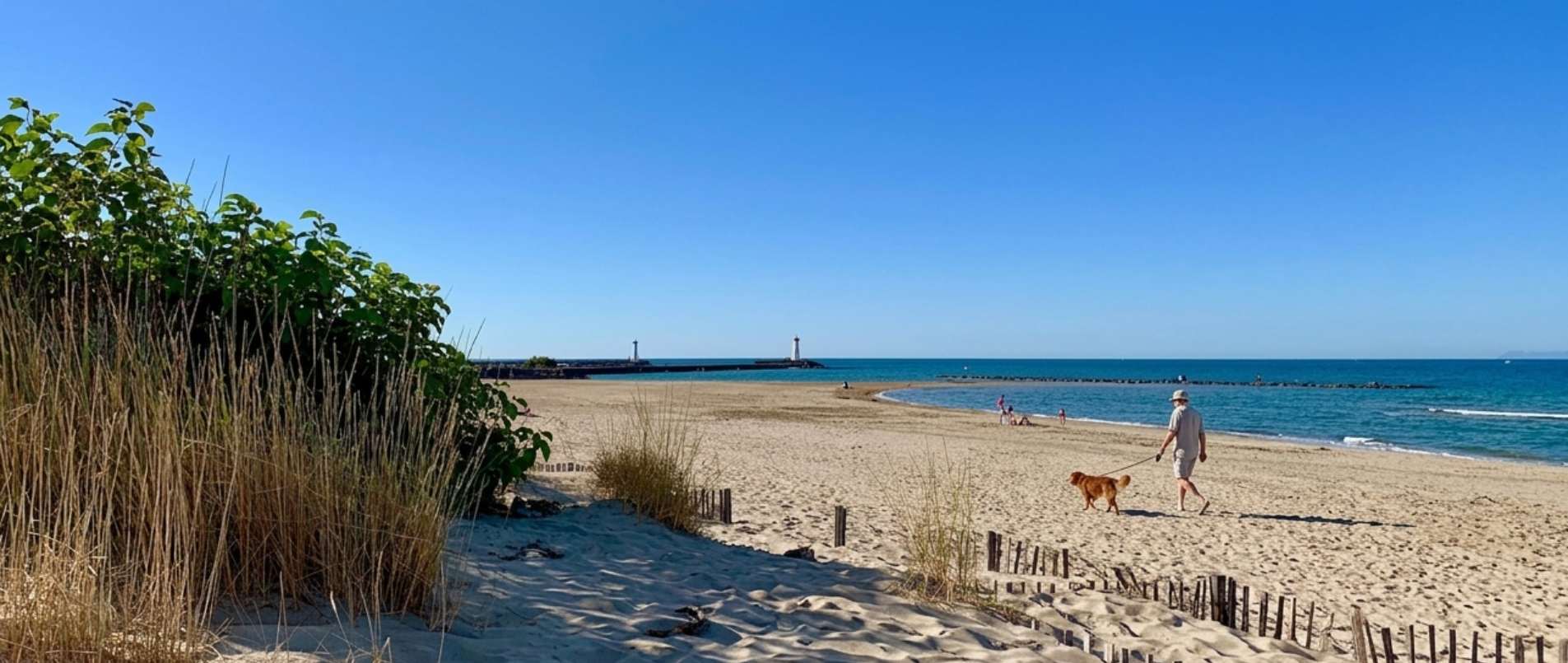 plages chiens admis marseillan
